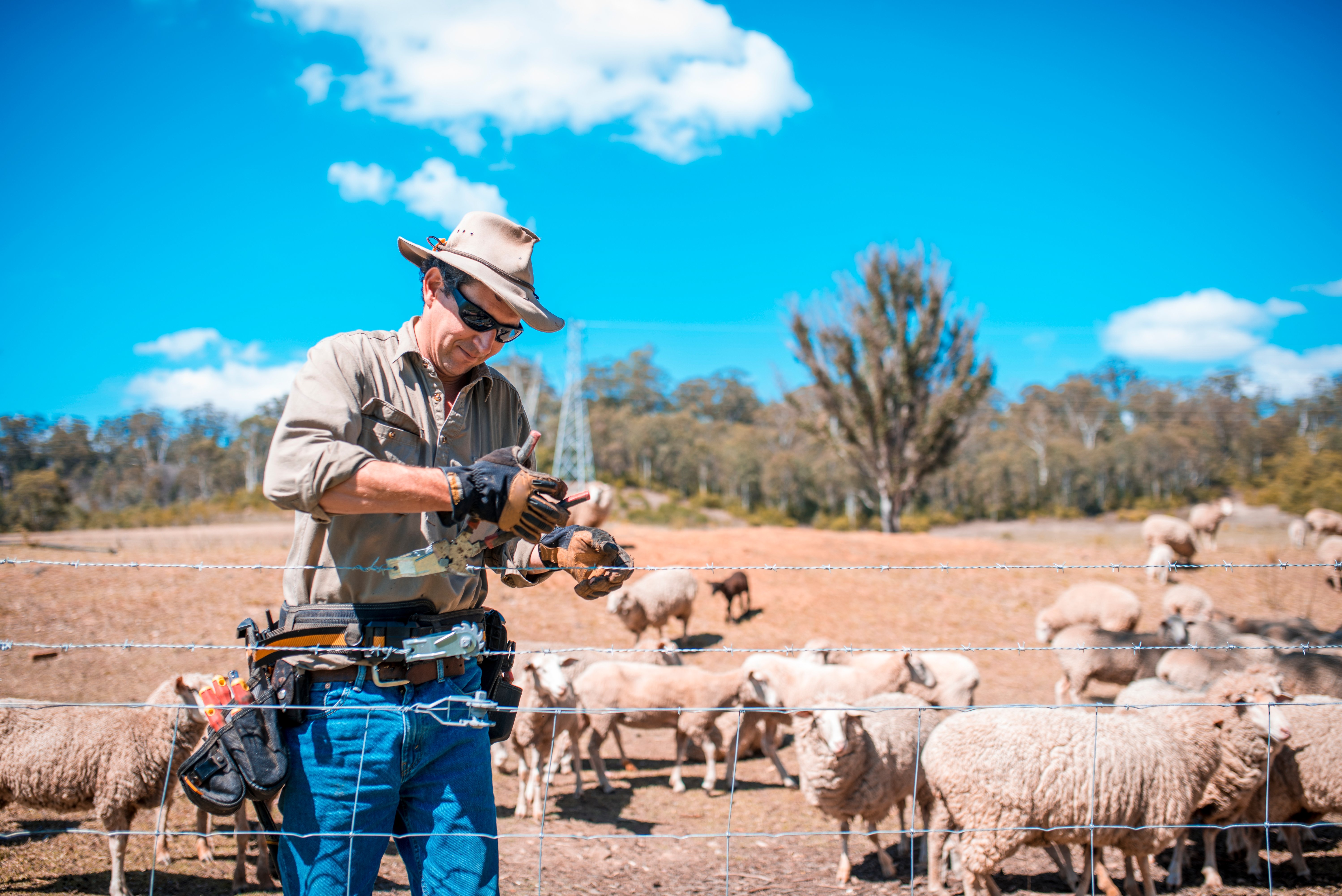 NSW Farmers | Aruva